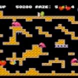 Console Archives Chack'n Pop