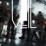 Veil